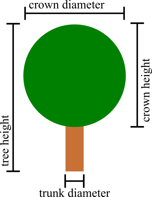 "Single tree parameters"